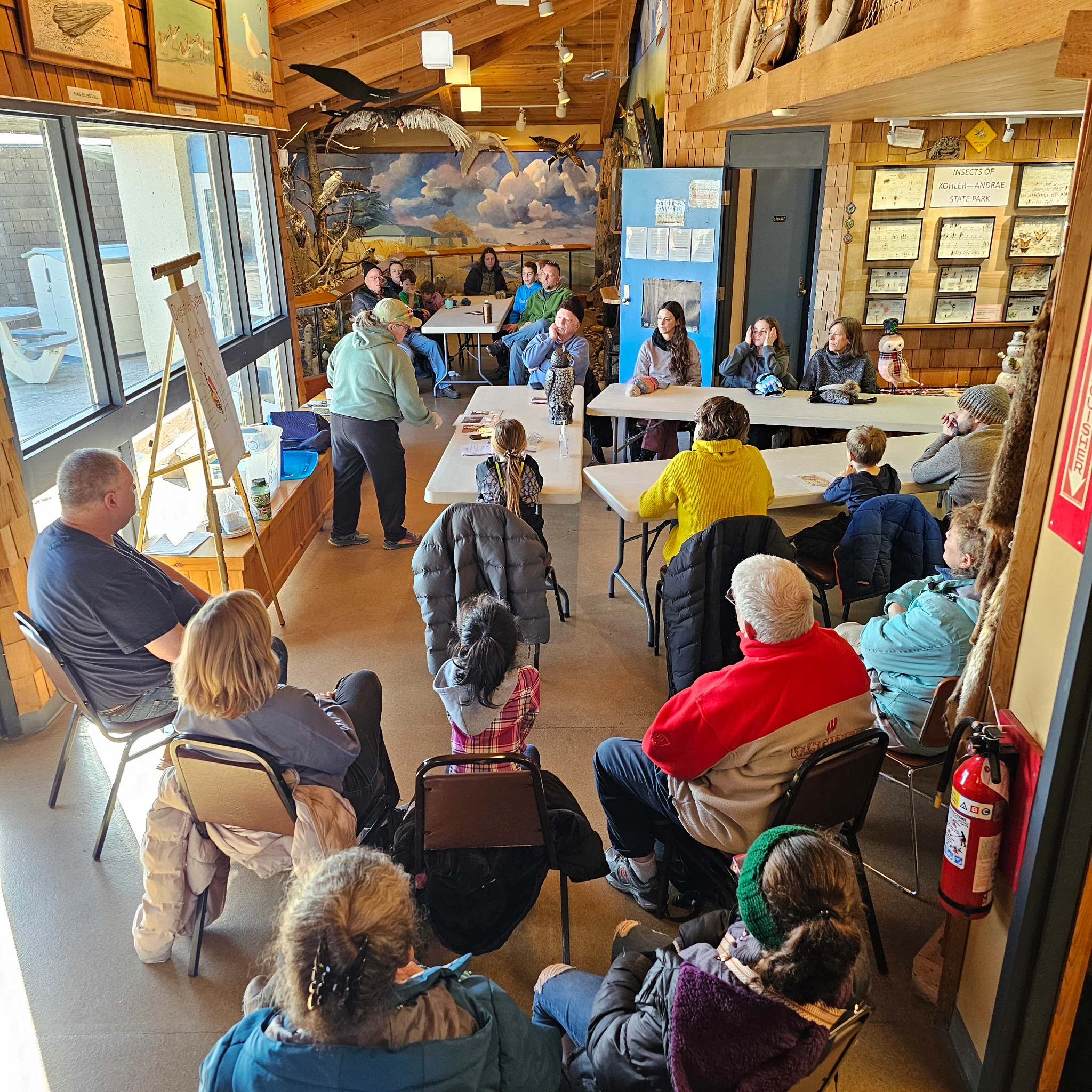 Owl Pellet program at kohler andrae in the nature center.