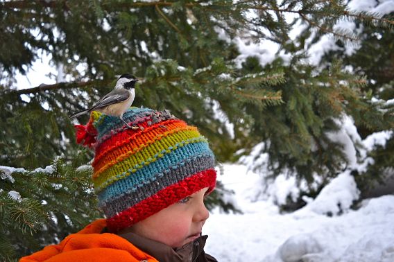 young boy wearing knitted cap with chickadee on his head