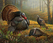 Mn Turkey Season 2024 Dates Vevay Jennifer