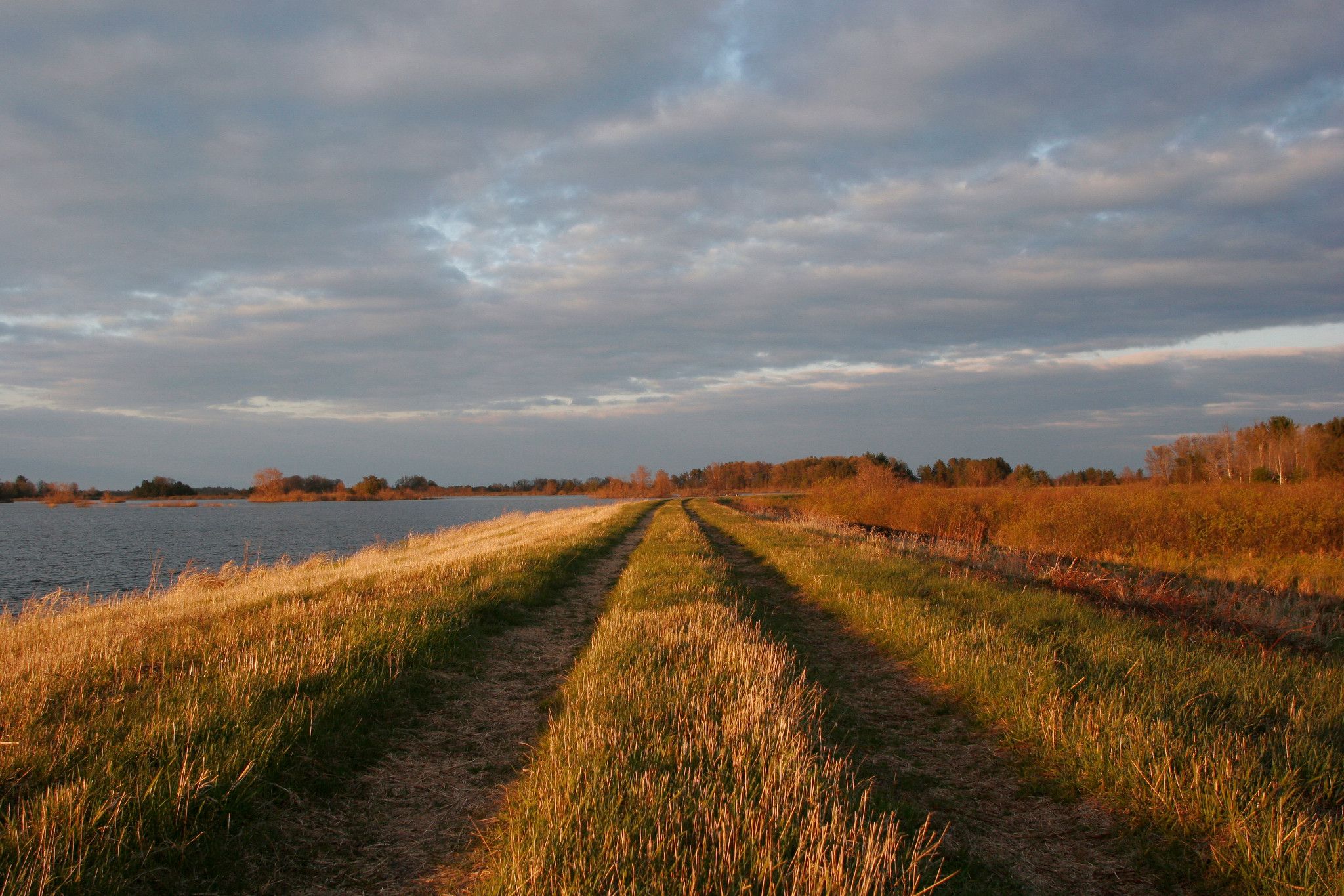 An image of a field at Sandhill Wildlife Area.