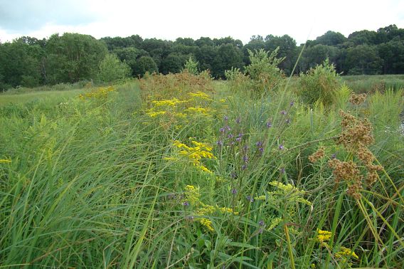 Painting On The prairie Wisconsin DNR