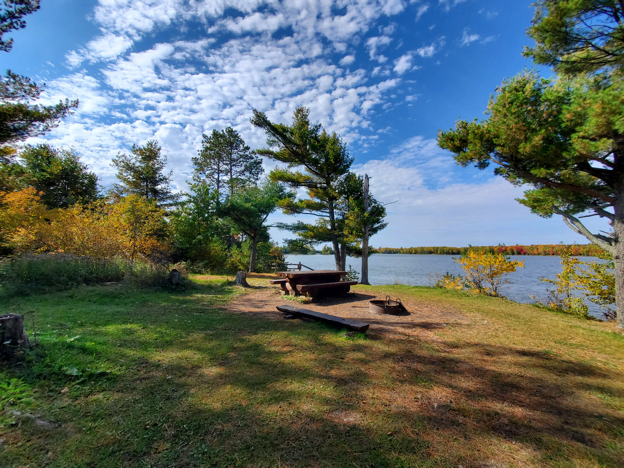 a forested campsite along the water in Turtle Flambeau Scenic Waters Area with a firepit and picnic table