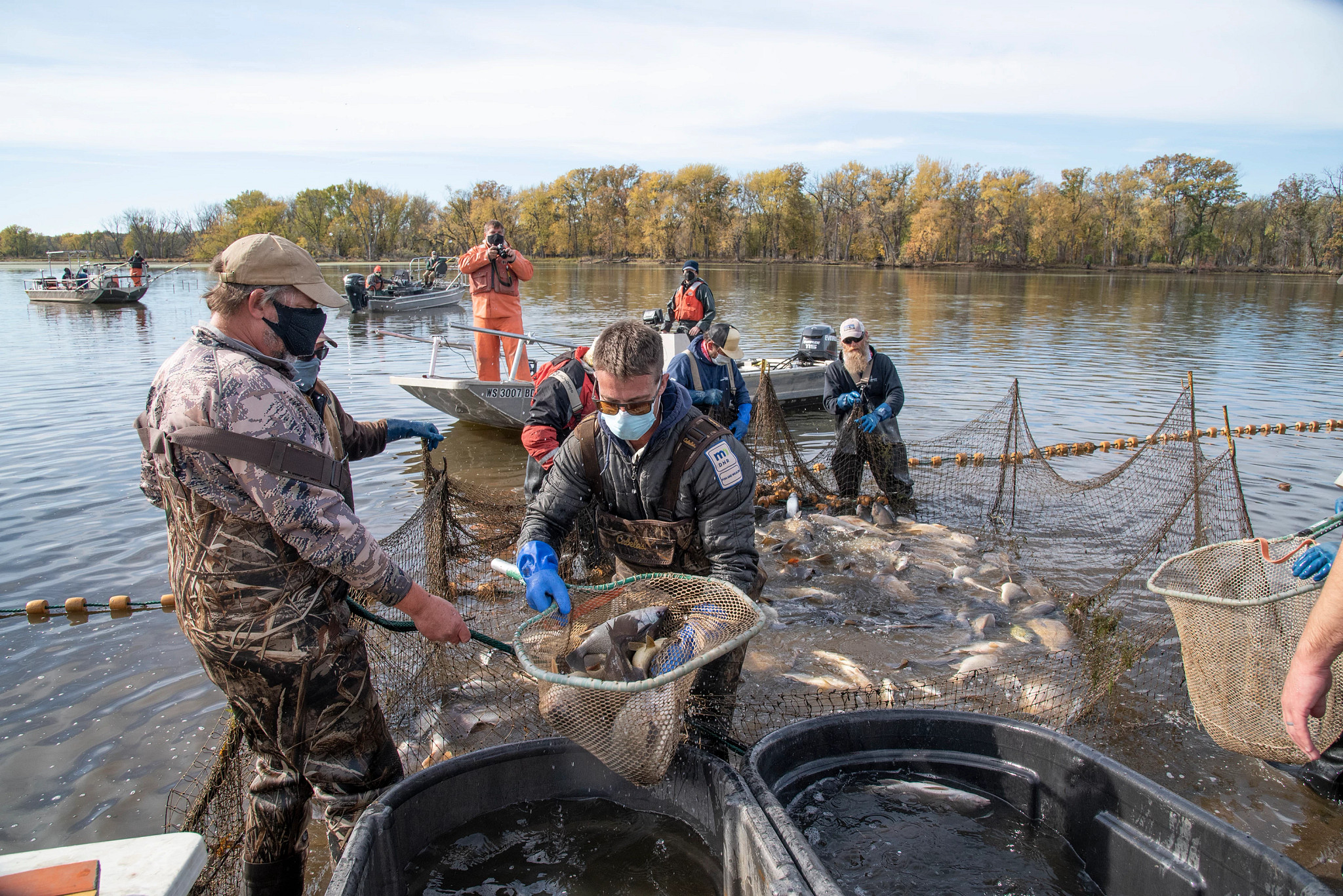 MUM 2 Operation (Modified Unified Method) DNR partnership with USFWS and USGS to use large commercial nets to find Invasive carp