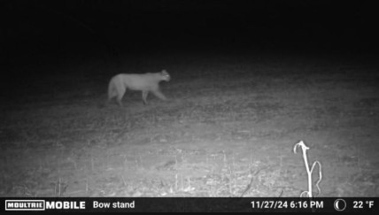 adam_klinger final.jpeg