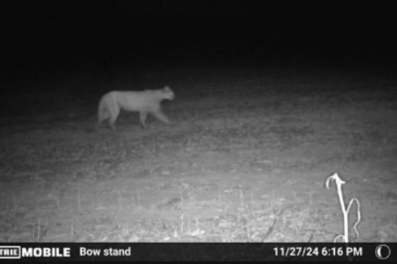 adam_klinger final.jpeg