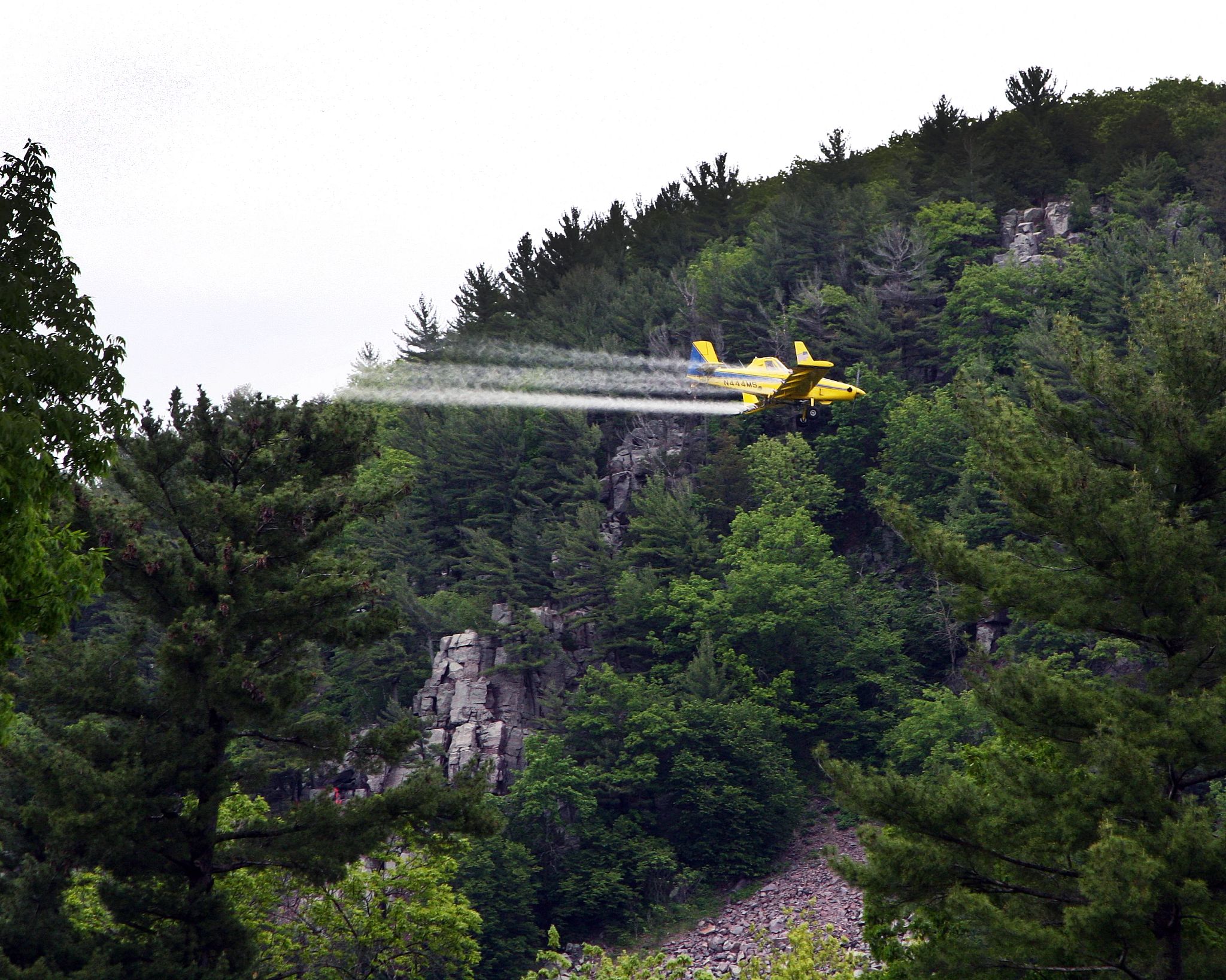 a yellow plane flying over a forest