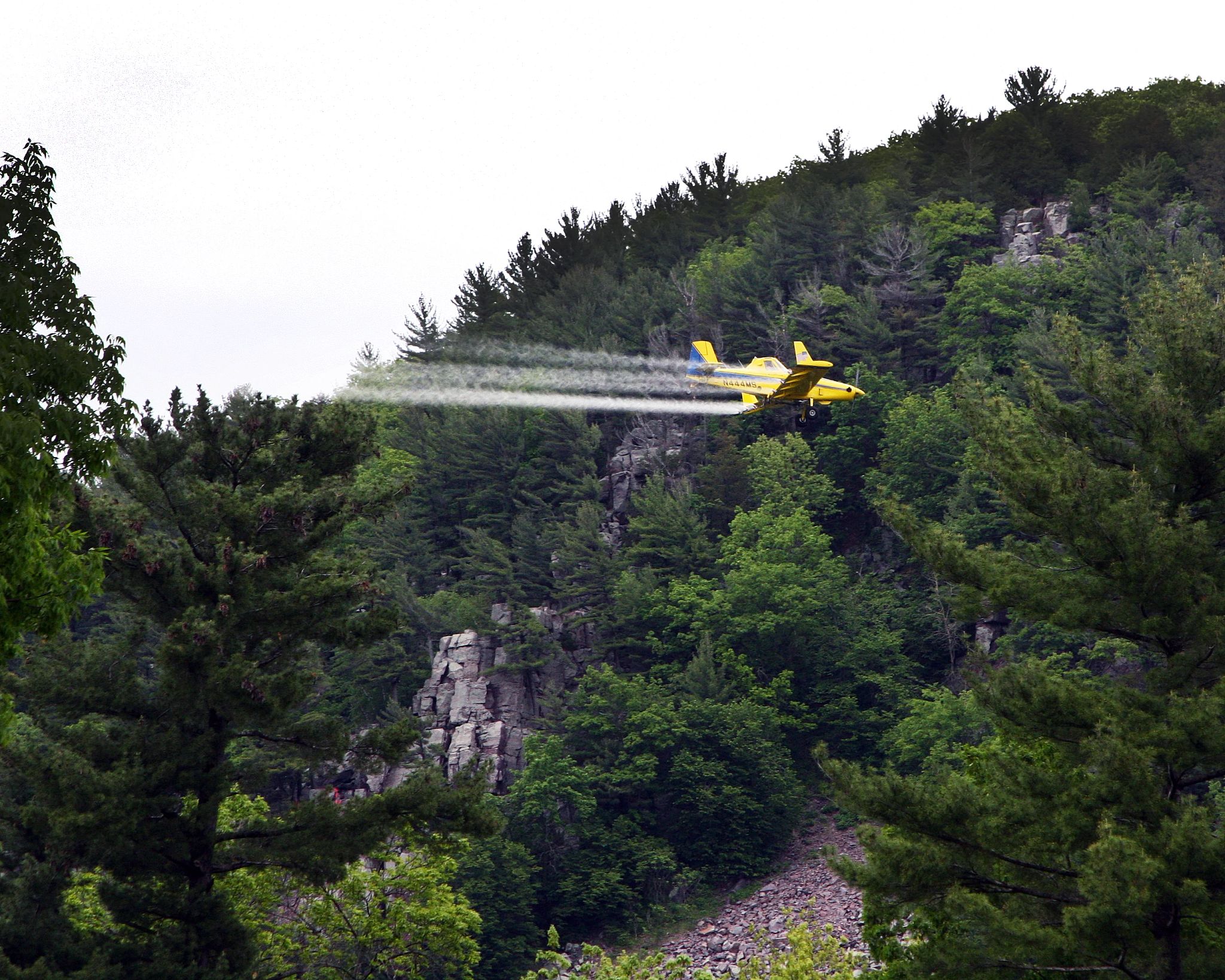 a yellow plane flying over a forest