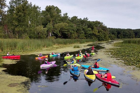 A large group of people kayaks through a marshy area near trees on a cloudy day.