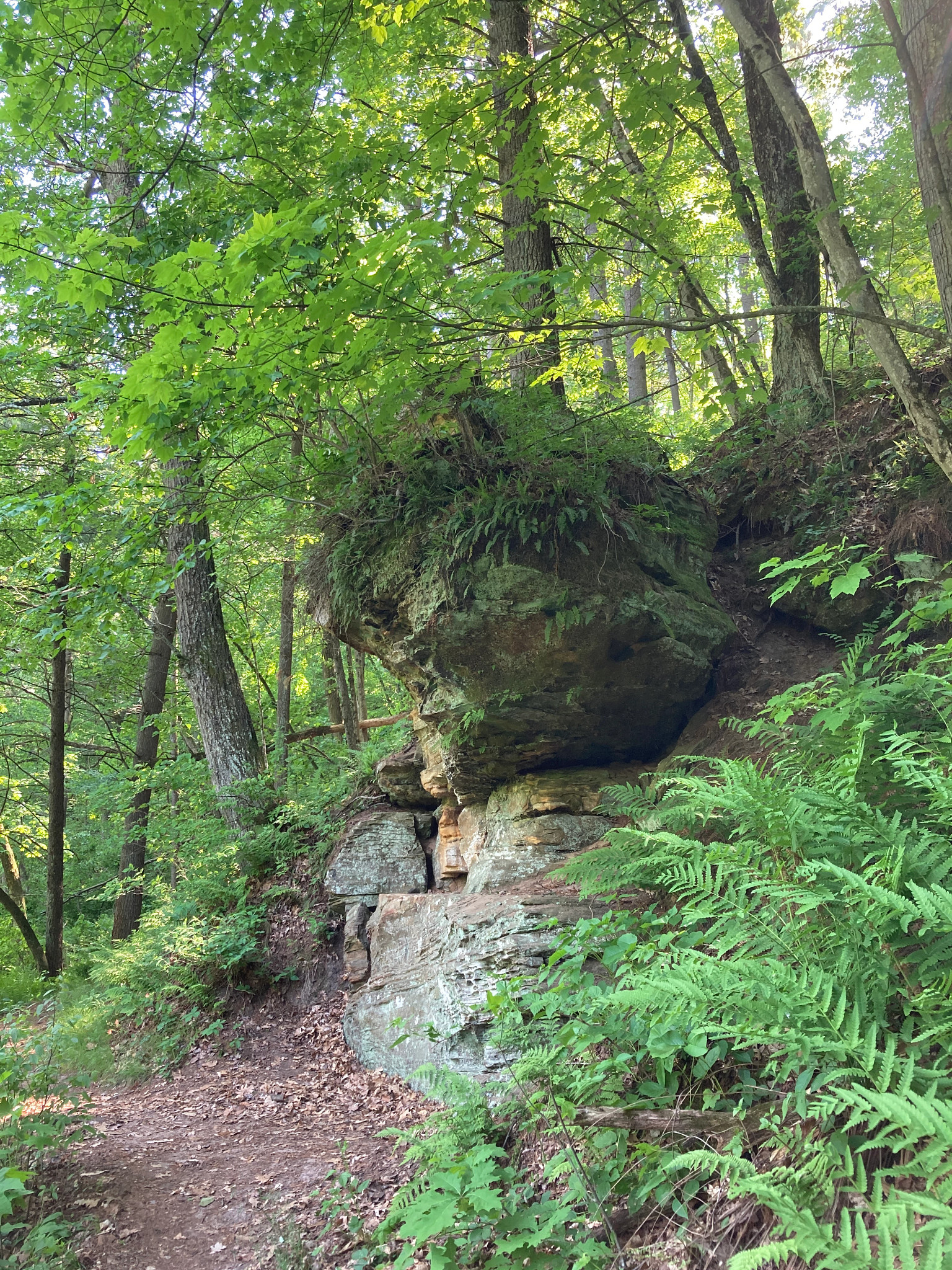 Rocky trail with limestone outcropping.