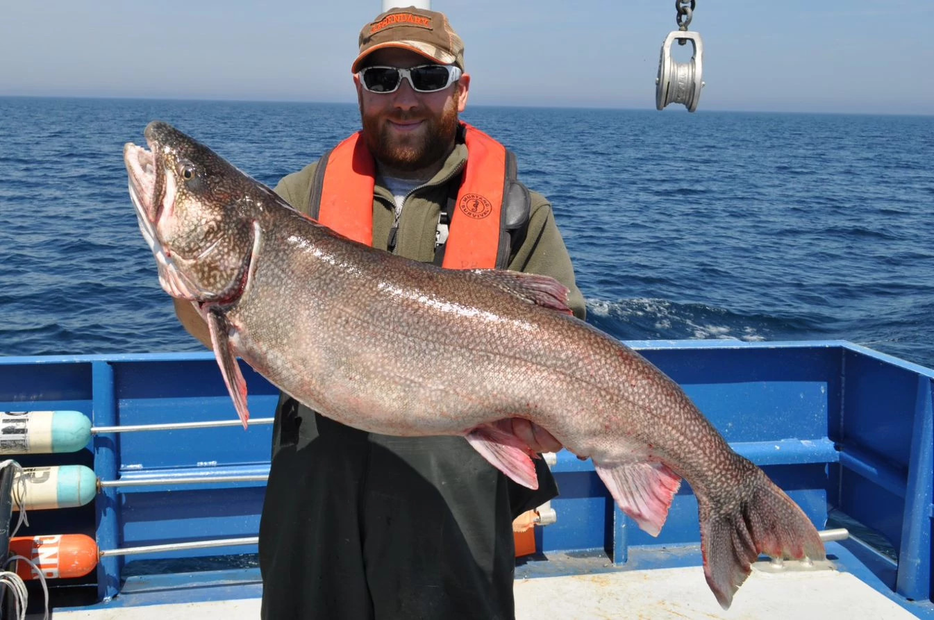 DNR To Host Public Meetings On Lake Michigan Lake Trout Population, Forms  Stakeholder Group