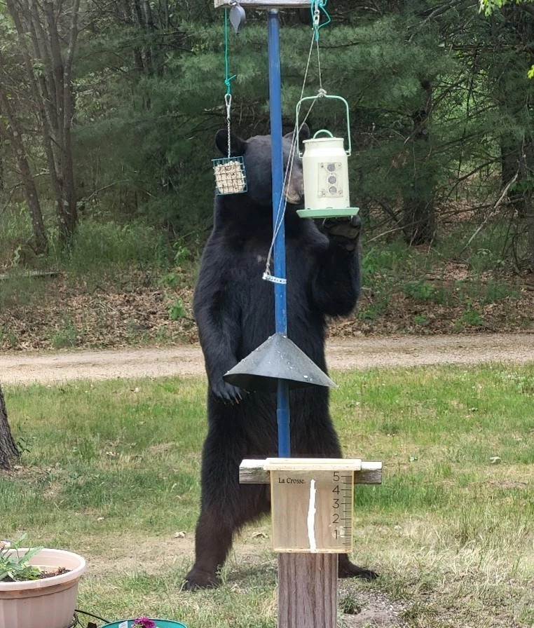 Wisconsin DNR news release