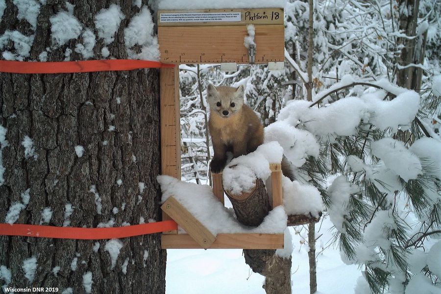 Wisconsin DNR news release