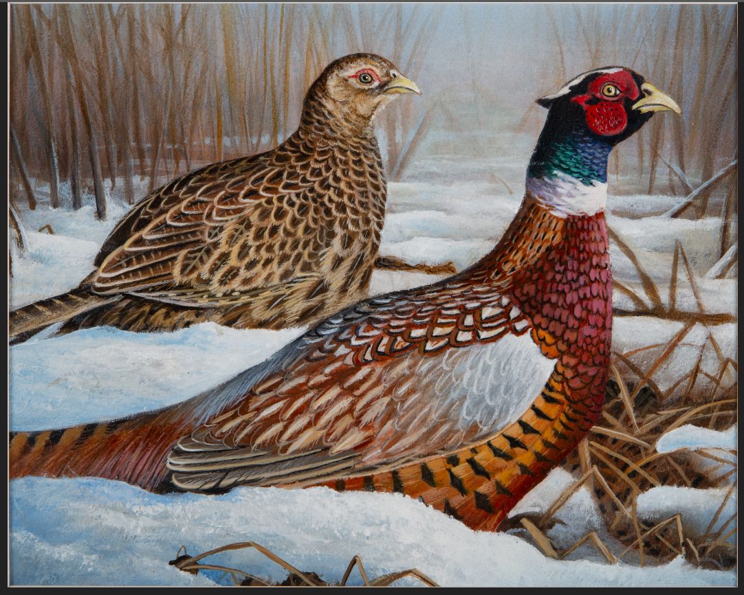 2021 Pheasant stamp by Robert Metropulos