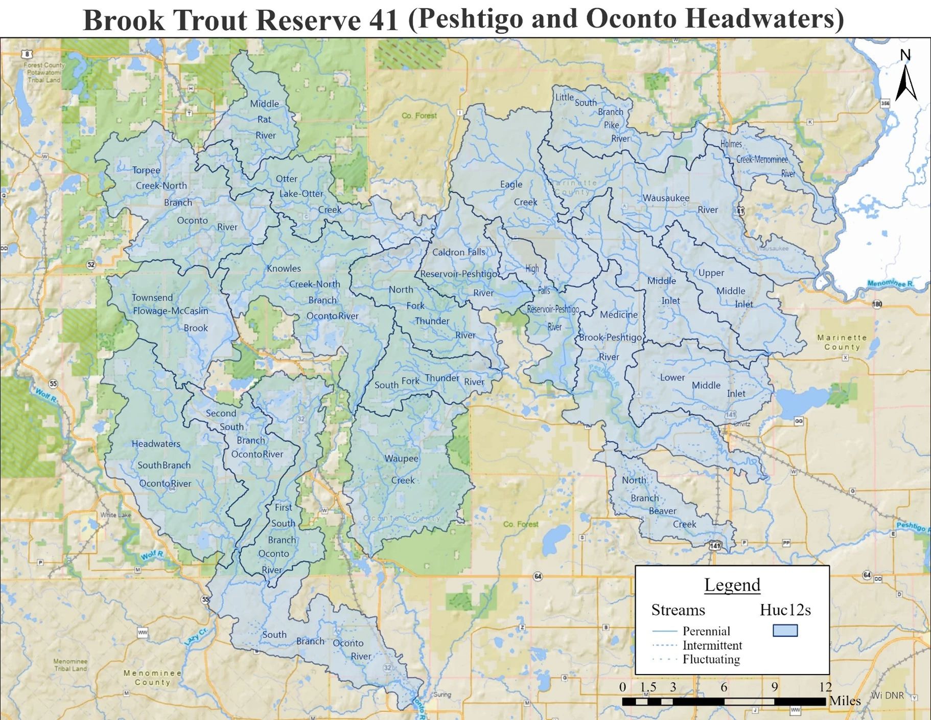brook_trout_reserve_41.jpeg