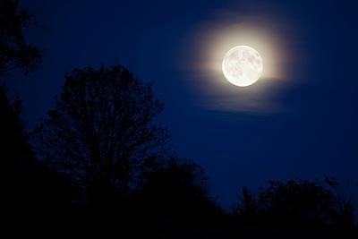 Full Moon Adult Hike | Wisconsin DNR