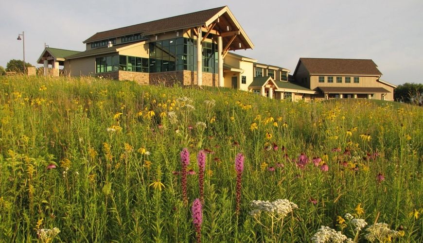 Prairie wildflowers with Horicon Marsh Education and Visitor Center in the background