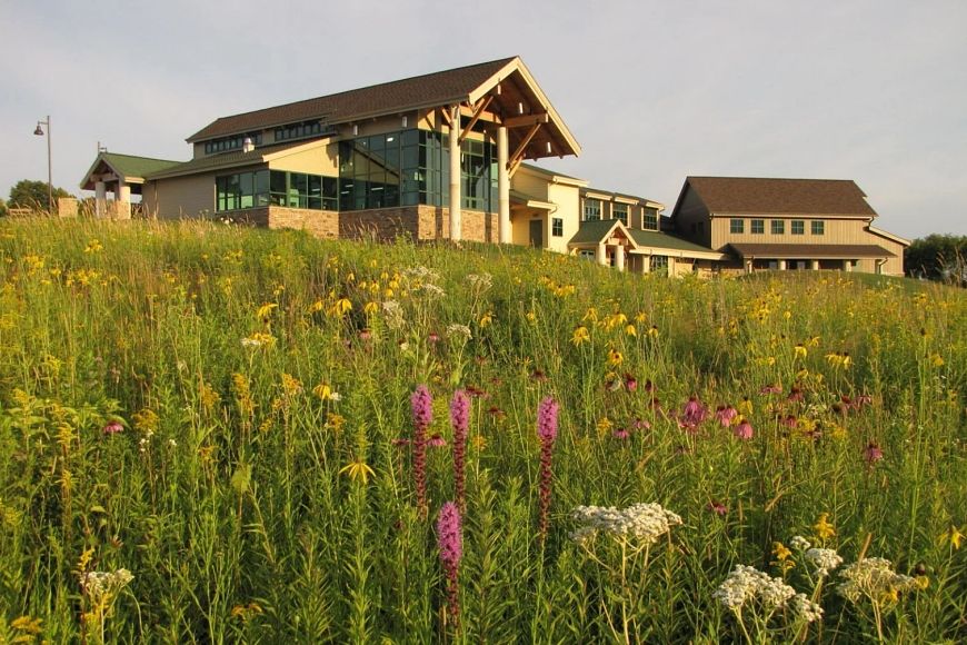 A hill with native plants and wildflowers is illuminated in a soft yellow light. A large building sits at the top of the hill.