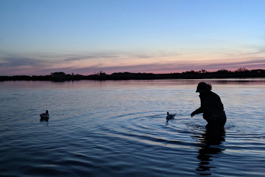 silhouette of woman placing duck decoys on marsh