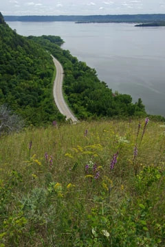 View of the landscape and road from on top of a grassy bluff.
