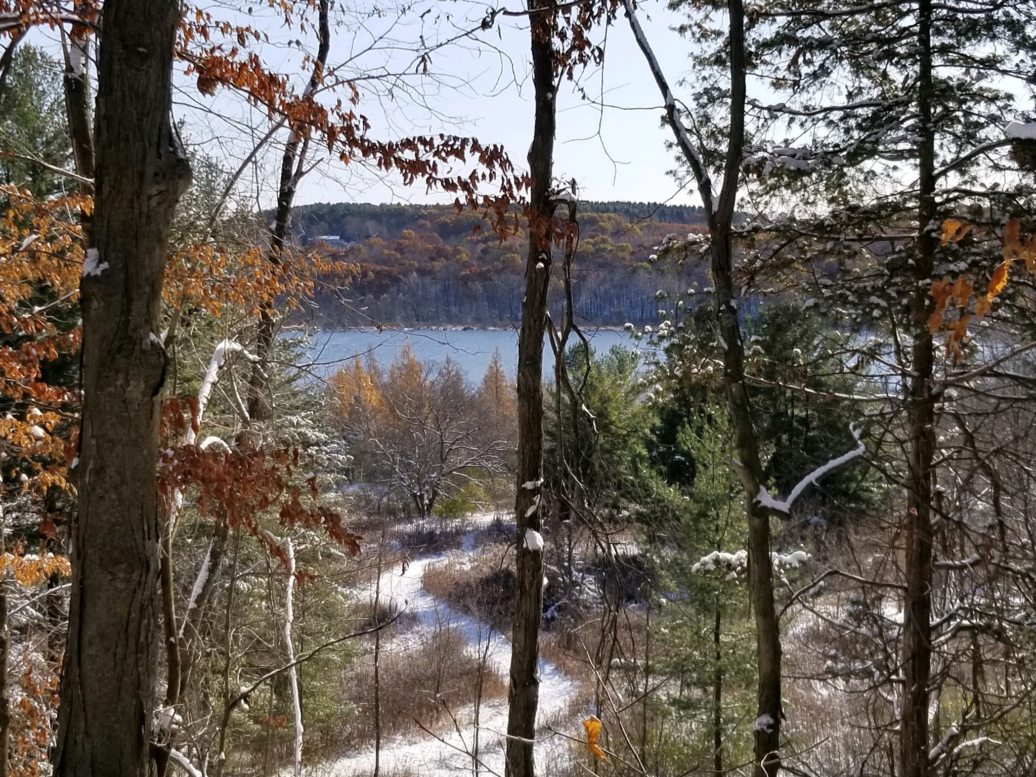 Kettle Moraine State Forest - Loew's Lake Unit