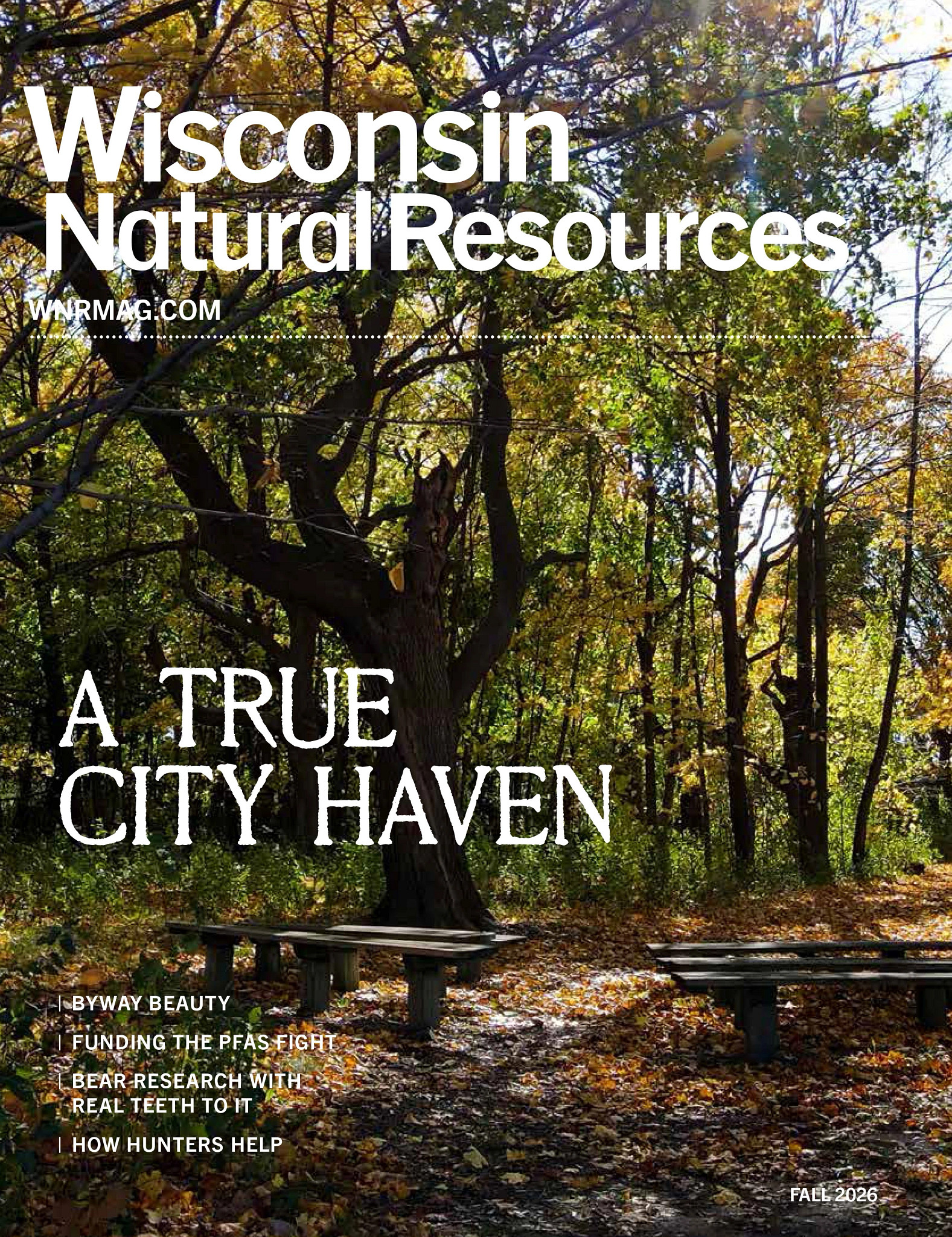 The cover of Wisconsin Natural Resources magazine, featuring a view of Haavenwoods State Forest in the fall. 
