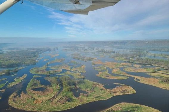 An aerial view of a Wisconsin wetland.