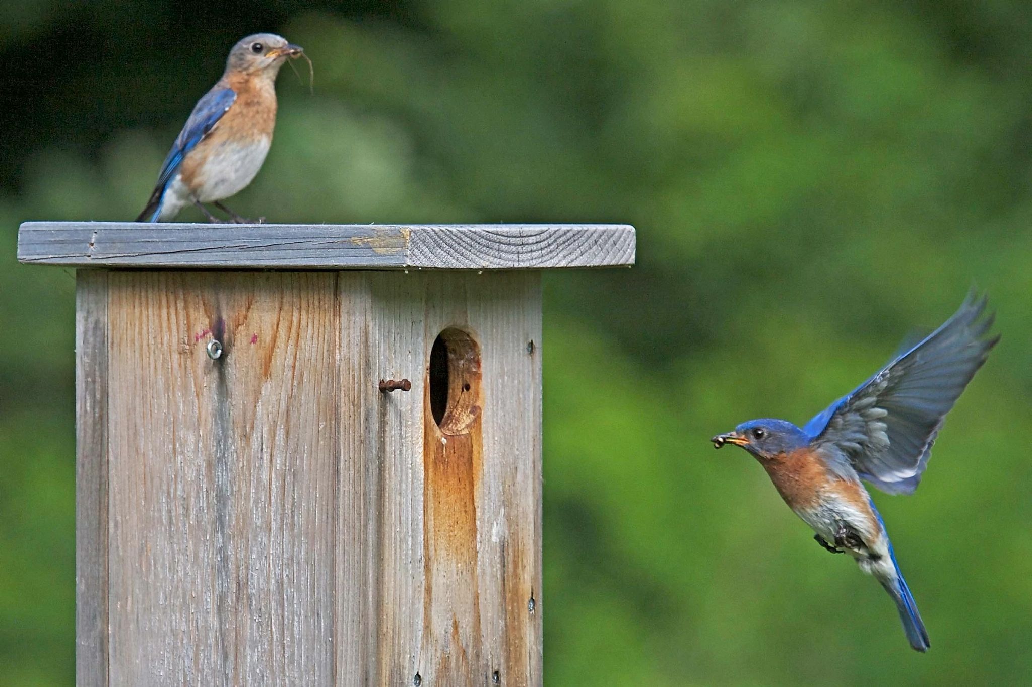 Wisconsin DNR news release