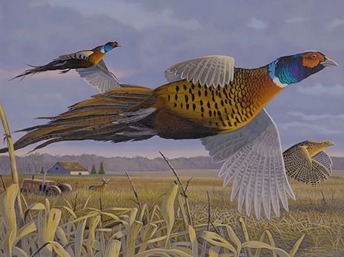 The 2026 Pheasant Stamp illustration shows two pheasants flying over farmland.