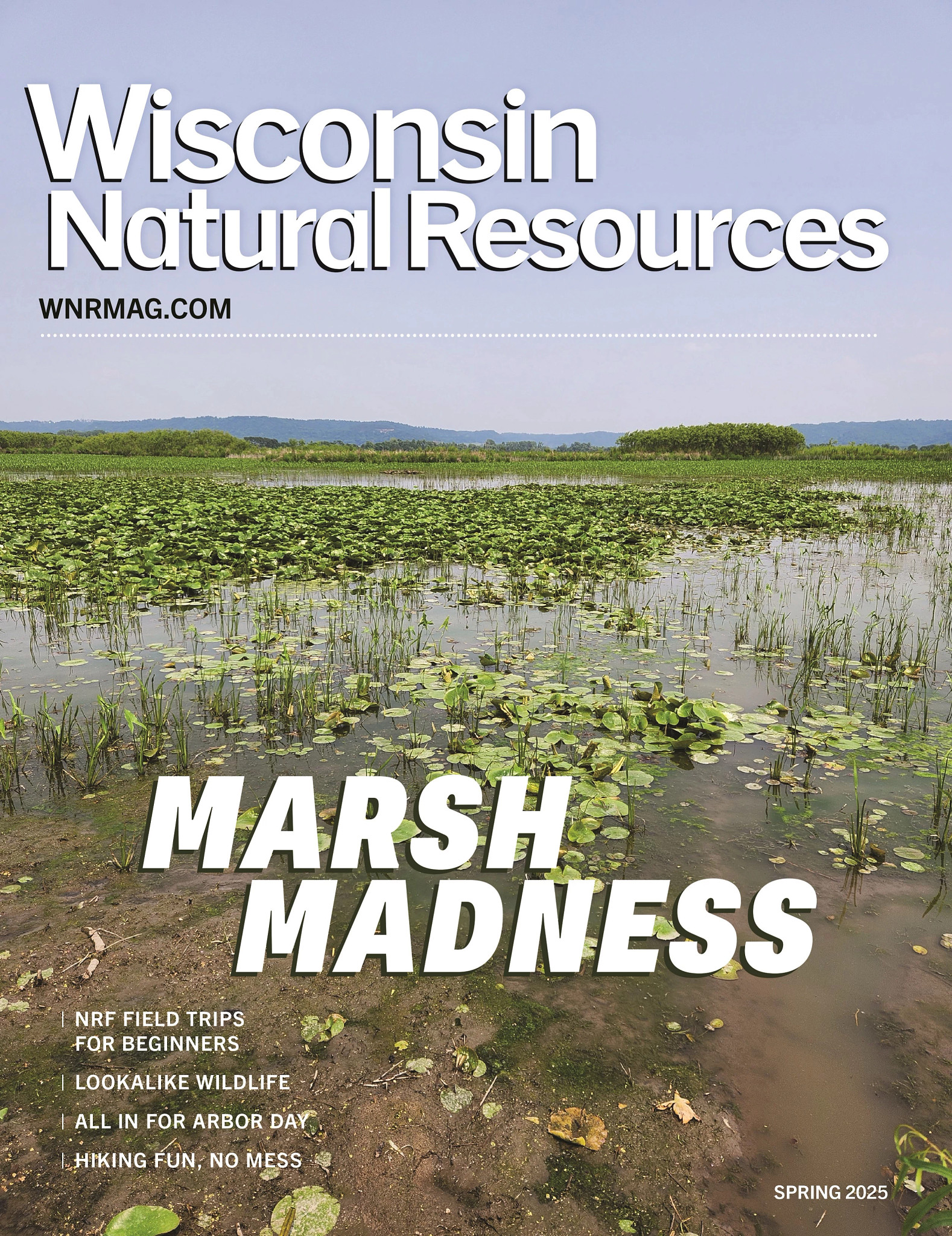 cover of spring WNR magazine showing landscape of marsh with text that reads "marsh madness"