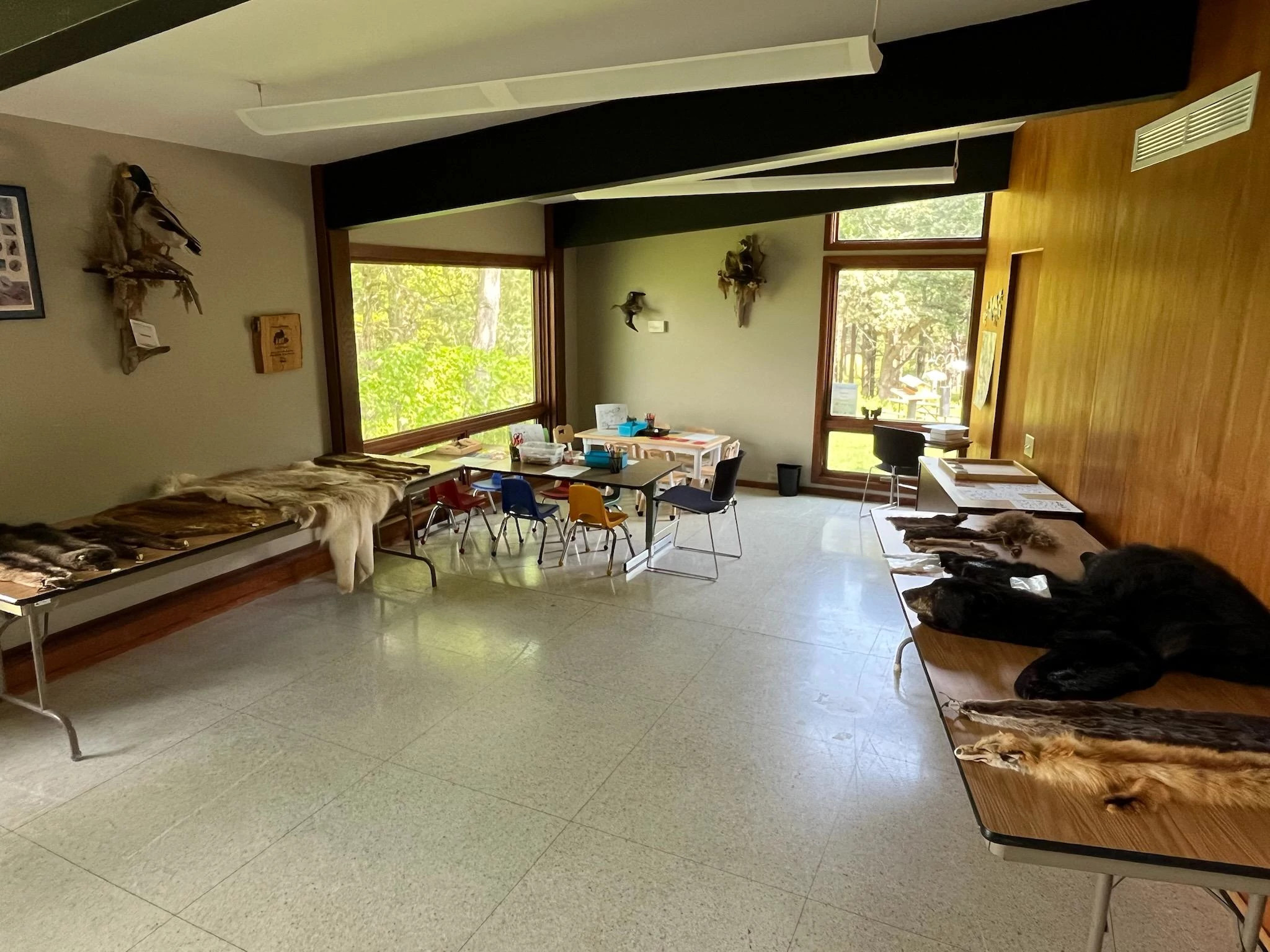 An education room with fur pelts and a coloring area.