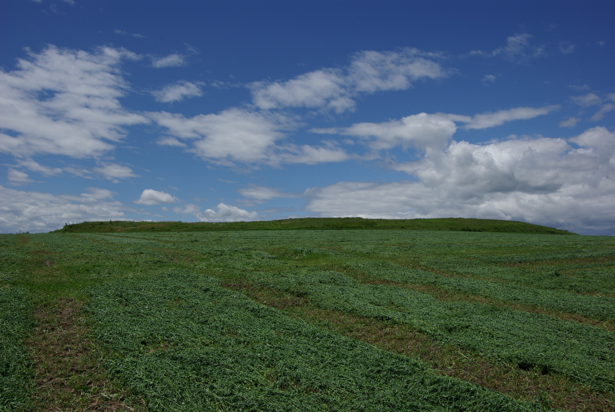 A view of Empire Prairie in summer. 