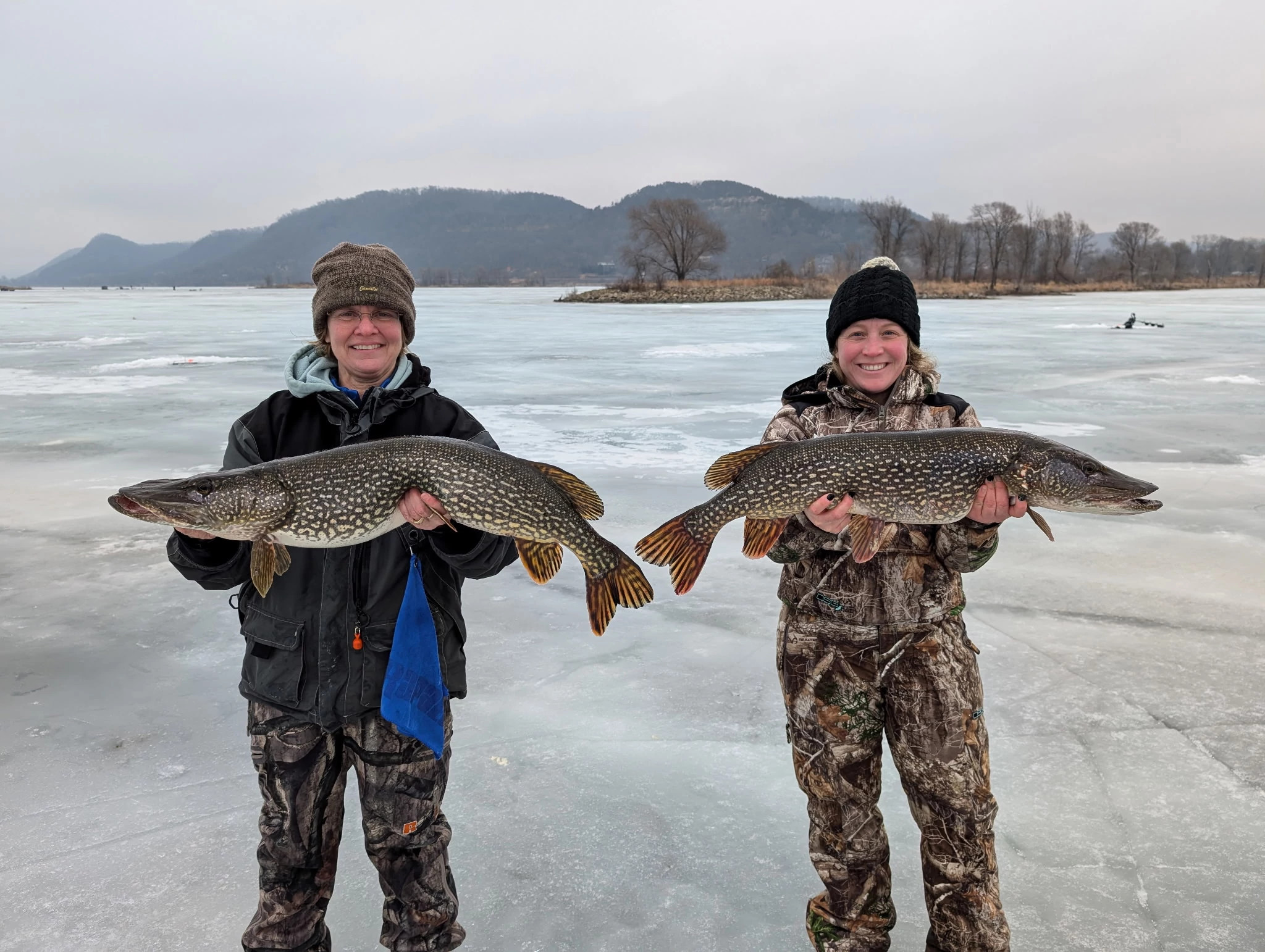 Two fisherwomen dressed for cold weather stand on the frozen water, smiling widely as they carefully hold the Northern Pike that each of them caught ice fishing. The two fish are nearly identical, with the one on the left just a bit bigger than the one on the right. The fishes’ heads are long with prominent underbites to their teeth-filled mouths. Their bodies are olive green with yellow undertones and distinct oblong light tan spots covering their sides. They have bold striping on their fins. In the background, bluffs rise steeply above the far bank of the frozen Mississippi River.