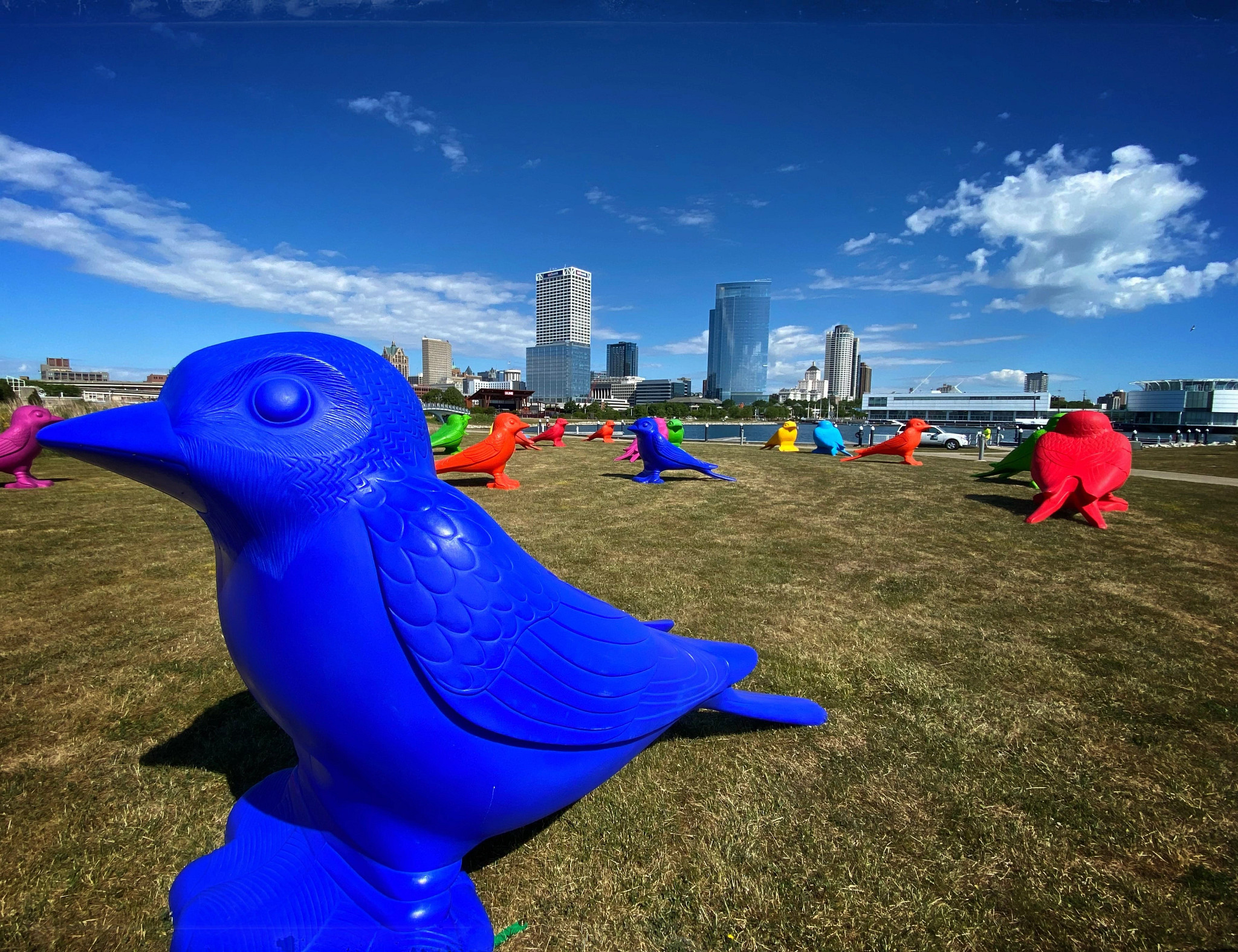A cluster of large, colorful swallow sculptures on the grass in front the Milwaukee skyline.