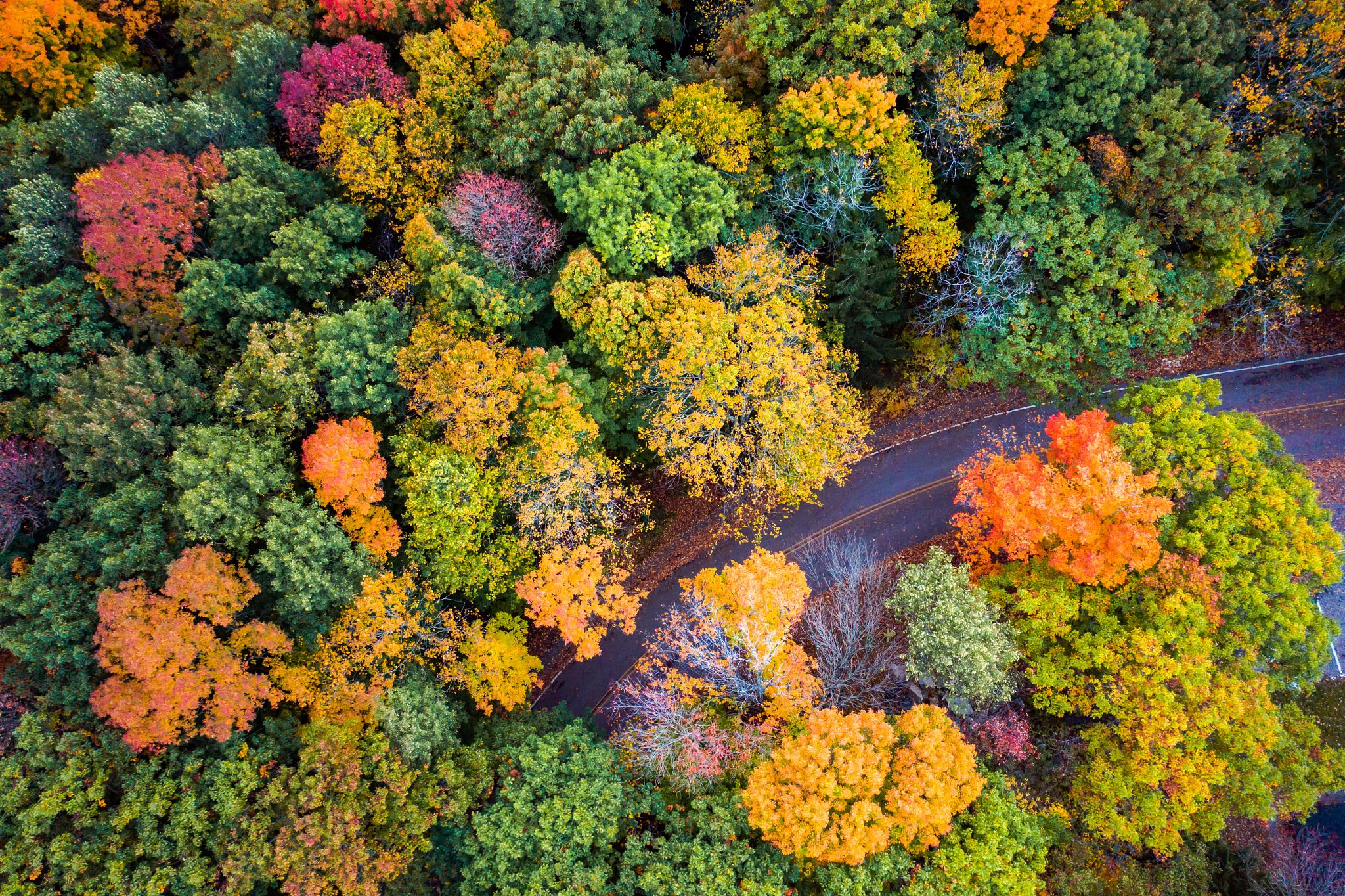 Nature Time – Autumn Leaves Are Falling Down | Wisconsin DNR