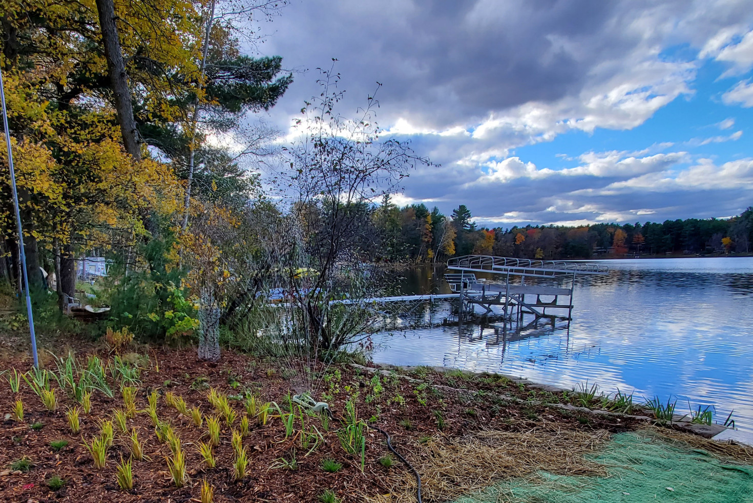 A shoreline meeting a lake, with newly planted native plants, in the process of HLR practices. 