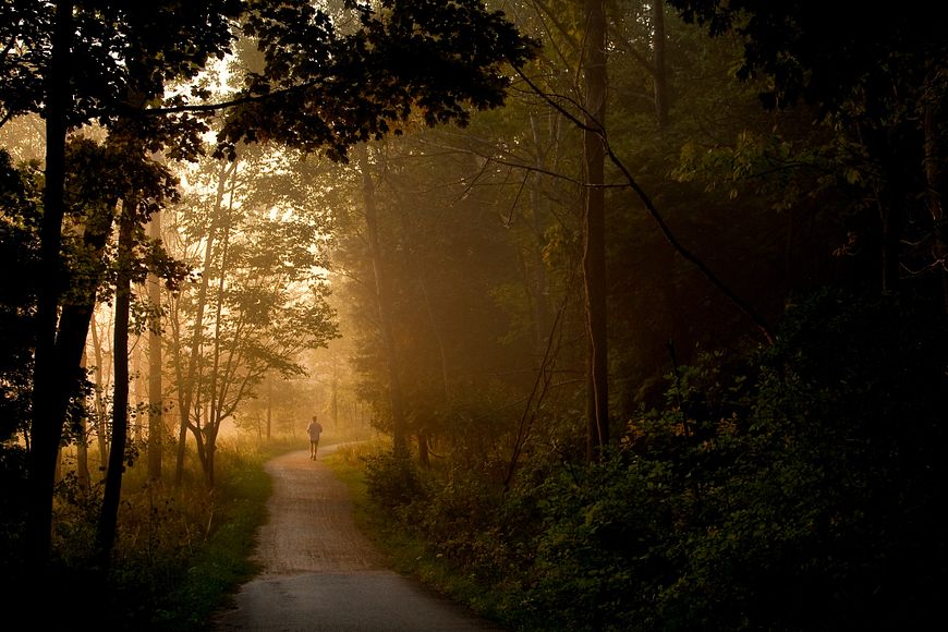 a runner following a path in a foggy forest