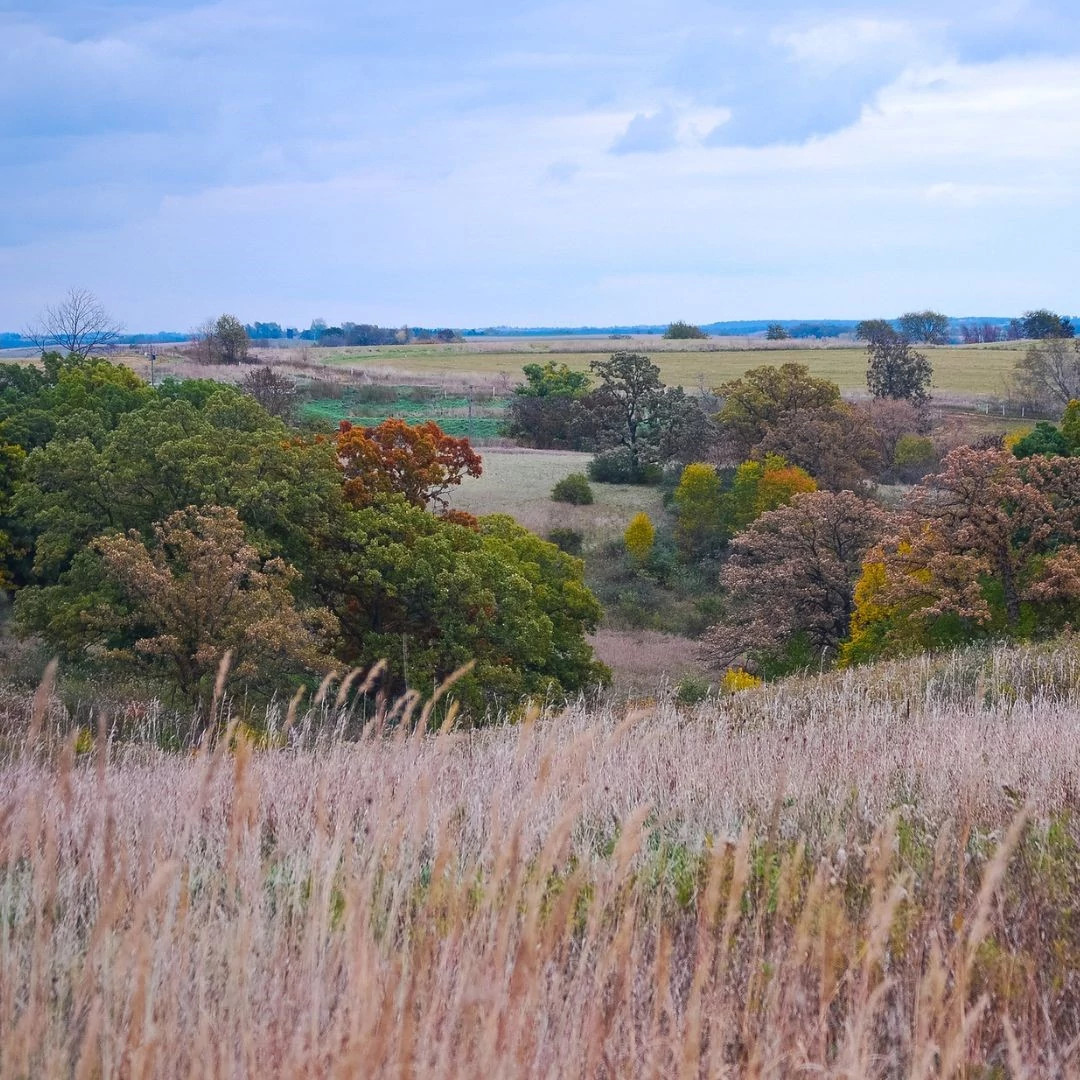 View of rolling hills and fall foliage at Yellowstone Lake State Park.jpeg