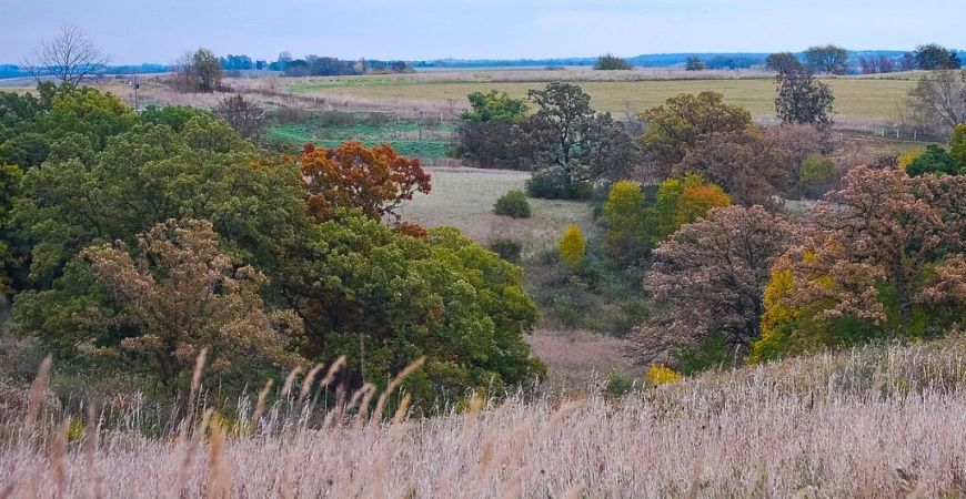 View of rolling hills and fall foliage at Yellowstone Lake State Park.jpeg