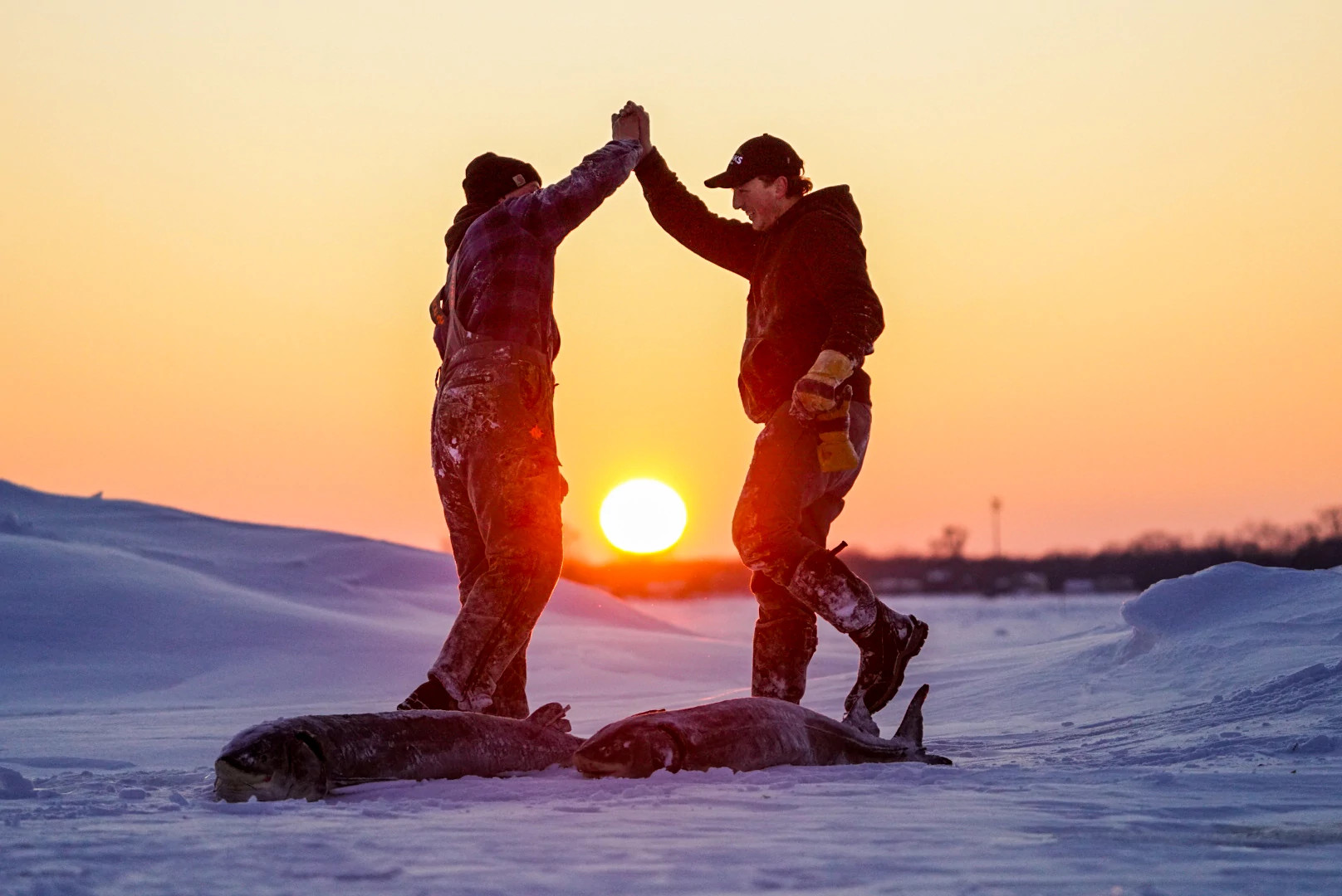 two men high five over a sturgeon laying on ice