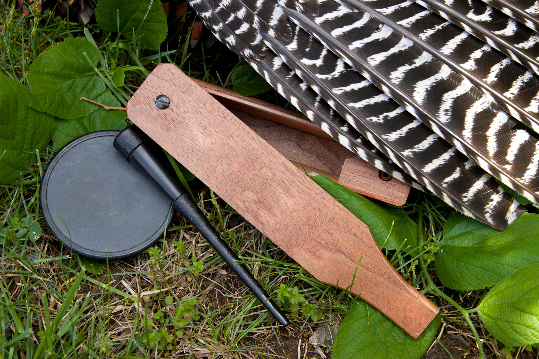 A box call and slate call, tools used to lure in a wild turkey, along with a wild turkey wing