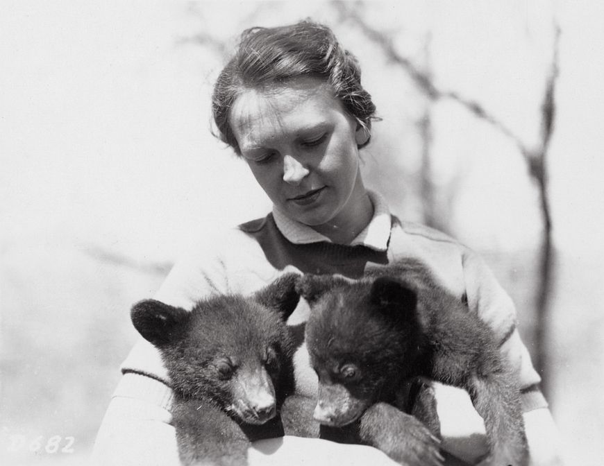 historic photo of Dorothy Ferguson holding two bear cubs