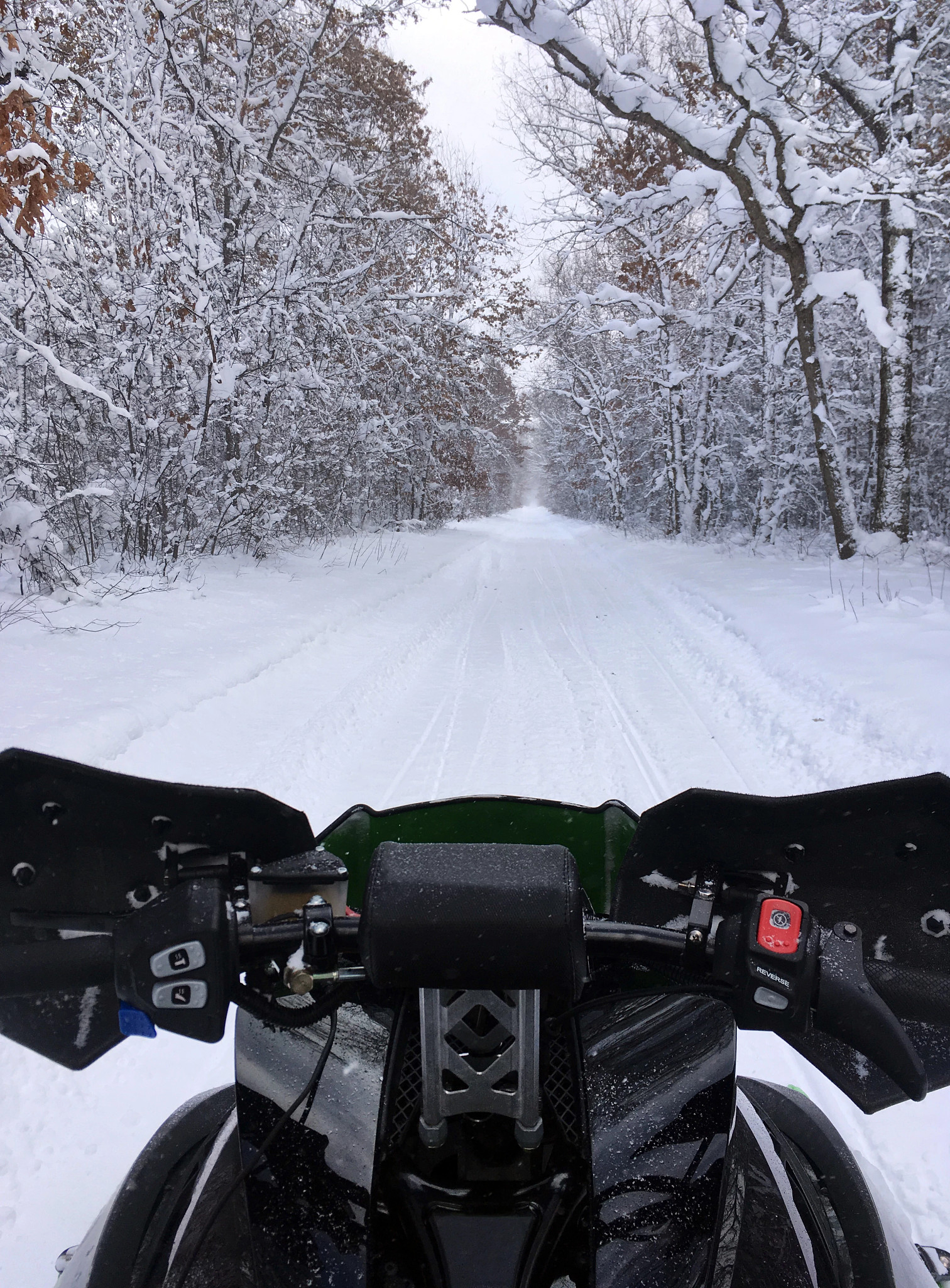 snowmobile-on-trail-in-upper-michigan.-1158855385_2976x4032.jpeg