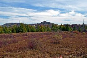 60_tamarackcreekbog.jpeg