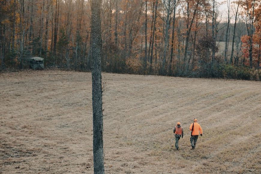 Two hunters in blaze orange walk through a field of yellow-brown grass surrounded by trees showing fall colors.