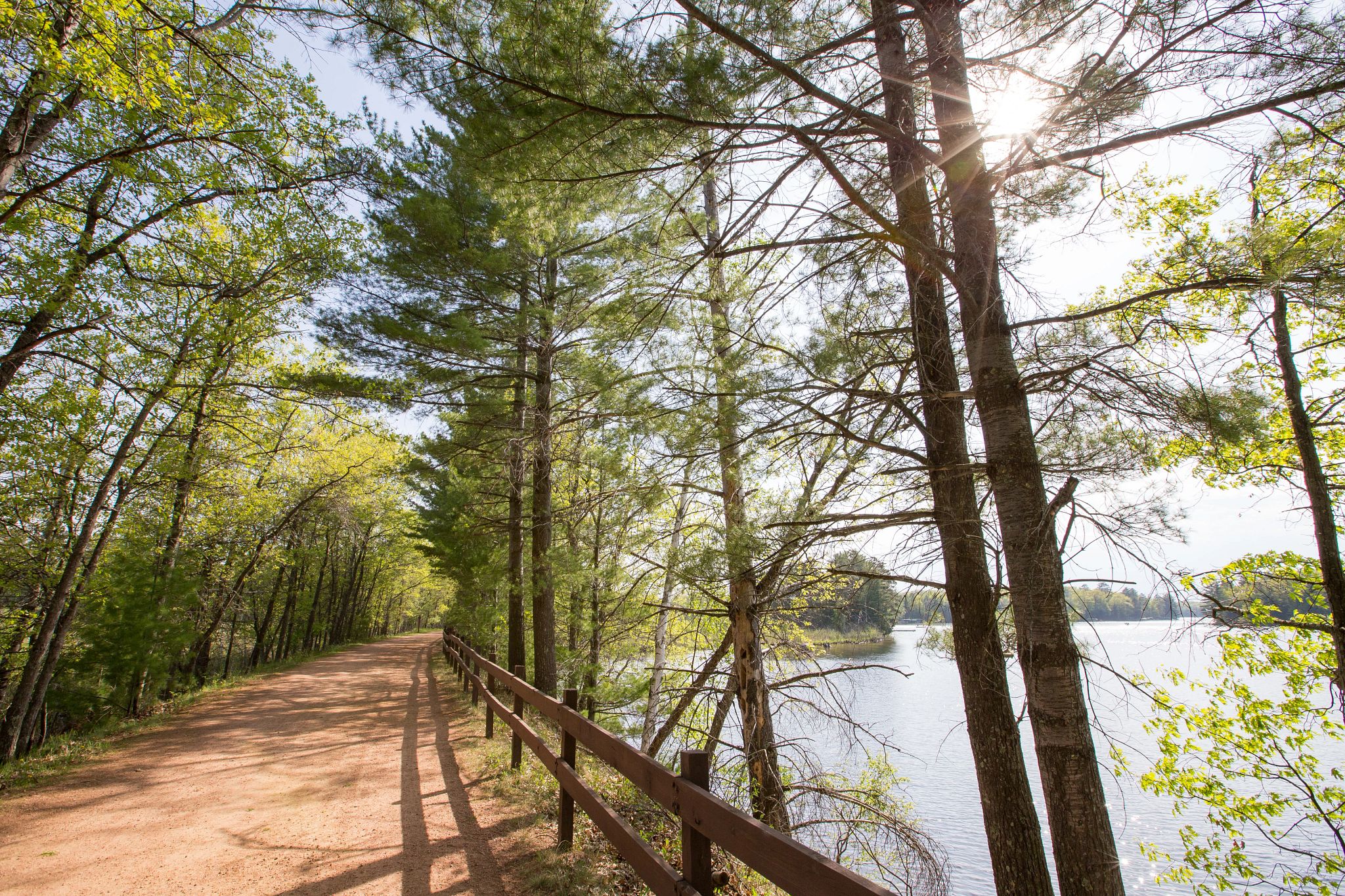 Bearskin Trail on a sunny day