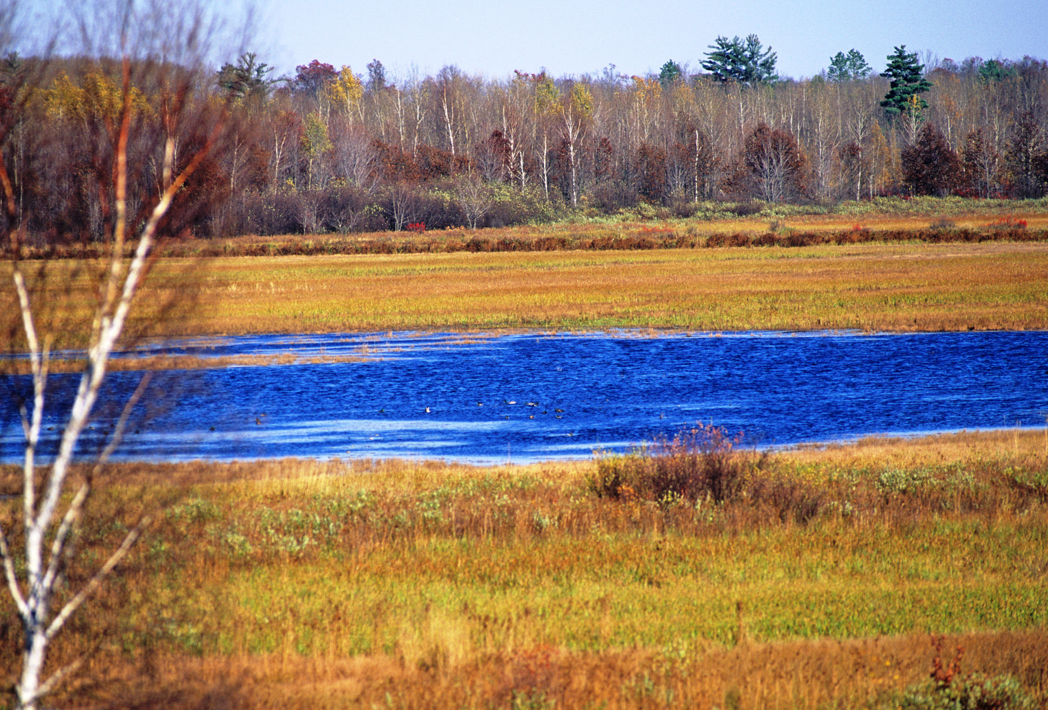 A view of water, marsh and golden grass and Sandhill Wildlife Area. 