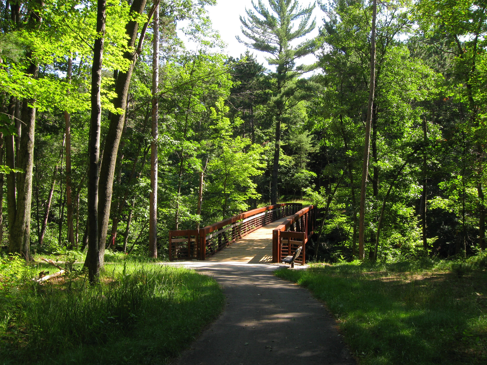 View of the Ishnala Bridge at Mirror Lake Gorge in late summer/early fall. The bridge is centered, showing green trees on the sides of the trail up to the bridge.