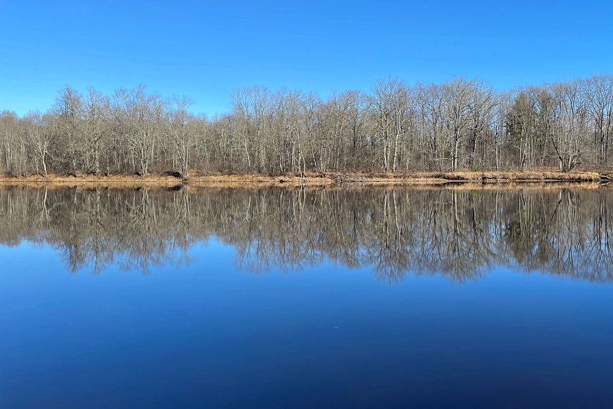 A large body of water bordered by a brown fall-like tree line in the horizon with a bright blue sky background.