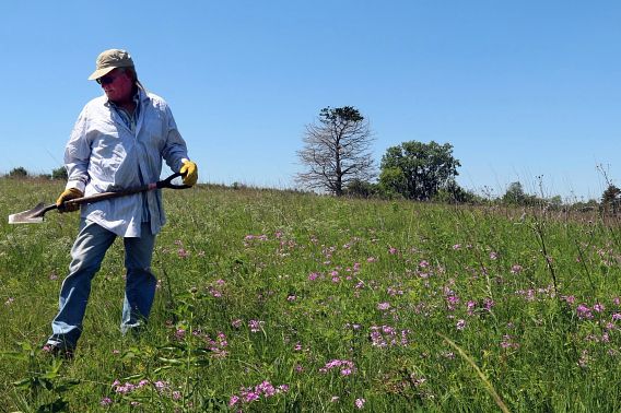 A man in jeans, work boots, heavy-duty work gloves and a hat holds a shovel while working in a prairie.