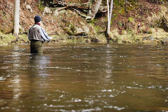 A man in waders, a fly fishing vest and a knit cap fly fishes while standing waist-deep in a stream.